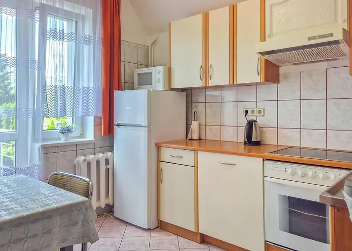 In With Wifi * 슈체친